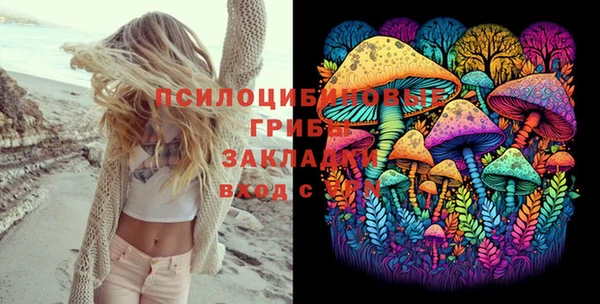 спиды Горняк