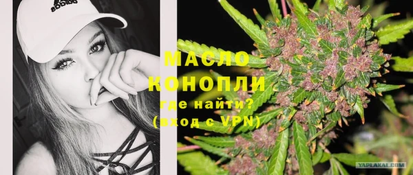 спиды Горняк