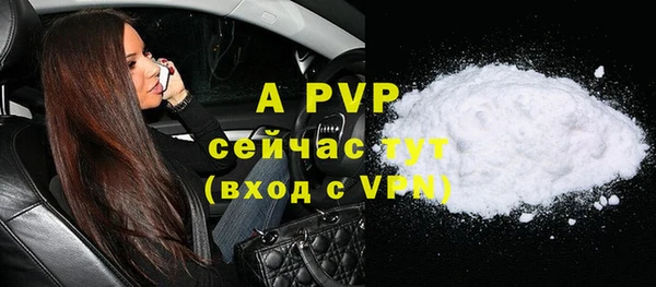 спиды Горняк