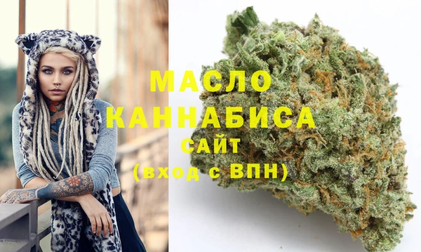 гидра Горно-Алтайск